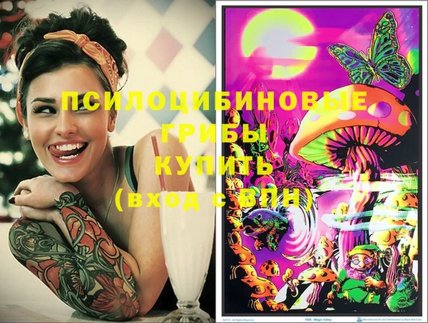 винт Абаза