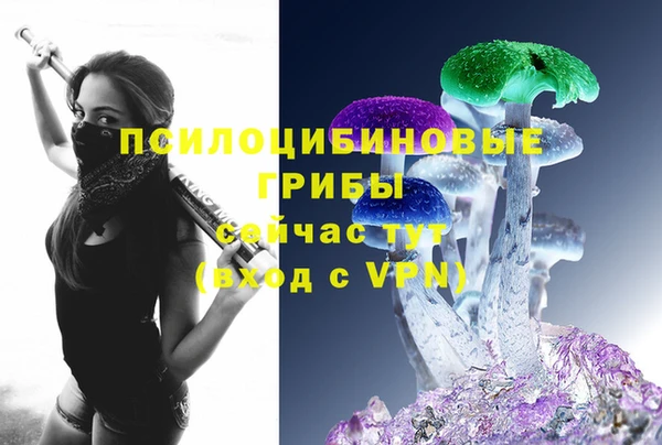 винт Абаза