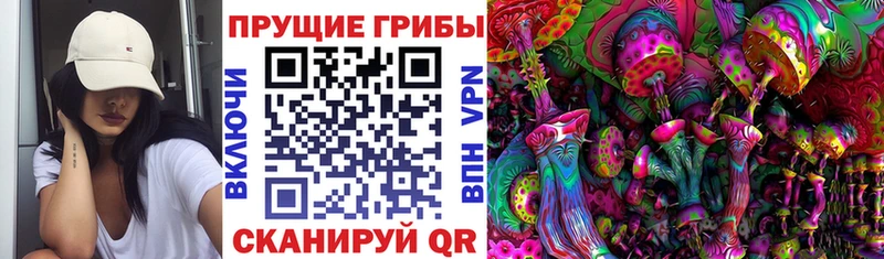 Галлюциногенные грибы Psilocybe  кракен как войти  Норильск 